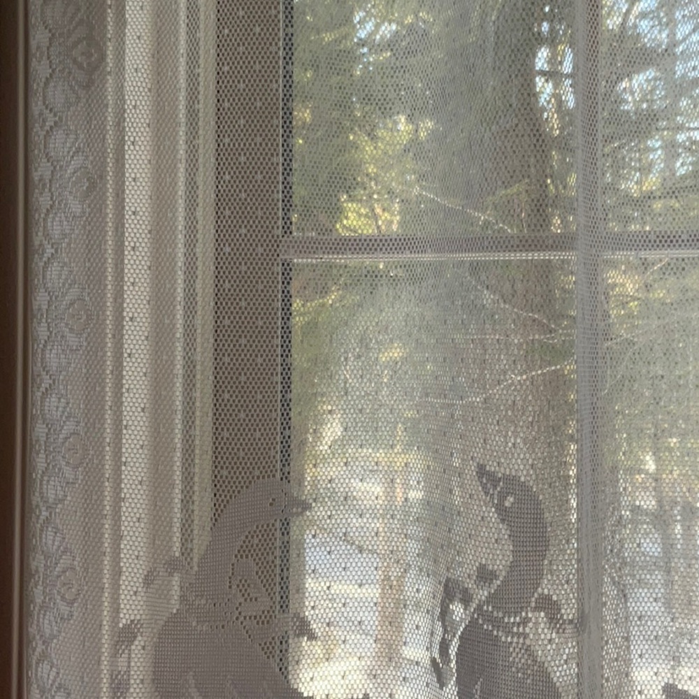 White Lace Goose Pattern Curtain - Picture 8 of 16